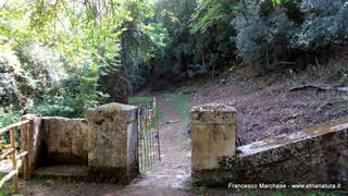 stello marchesa di Cassibile-10-02-2015 19-56-39